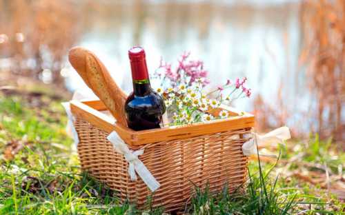 5 вин, которые отлично подойдут для пикника